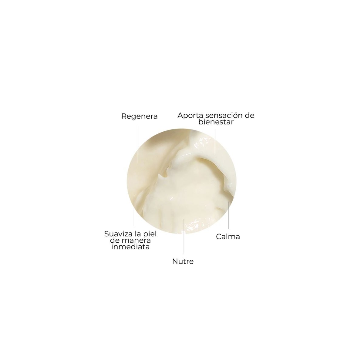 SEGLE CLINICAL CREMA SKIN FACTOR 50 ML