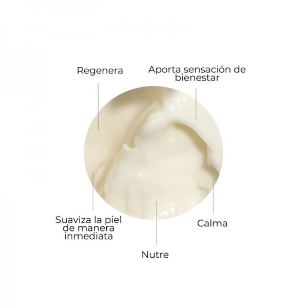 SEGLE CLINICAL CREMA SKIN FACTOR 50 ML