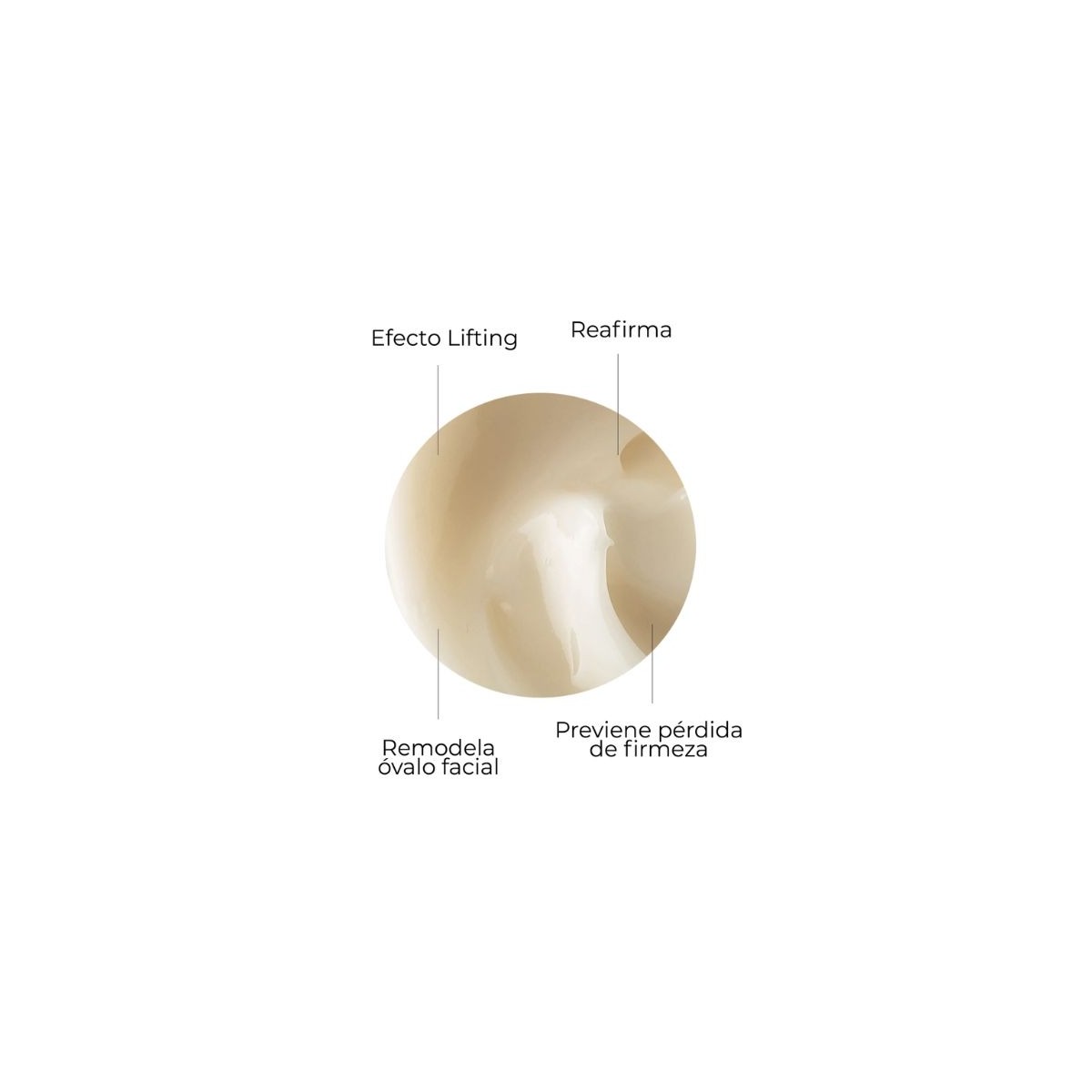 SEGLE CREMA DMAE LIFT 10